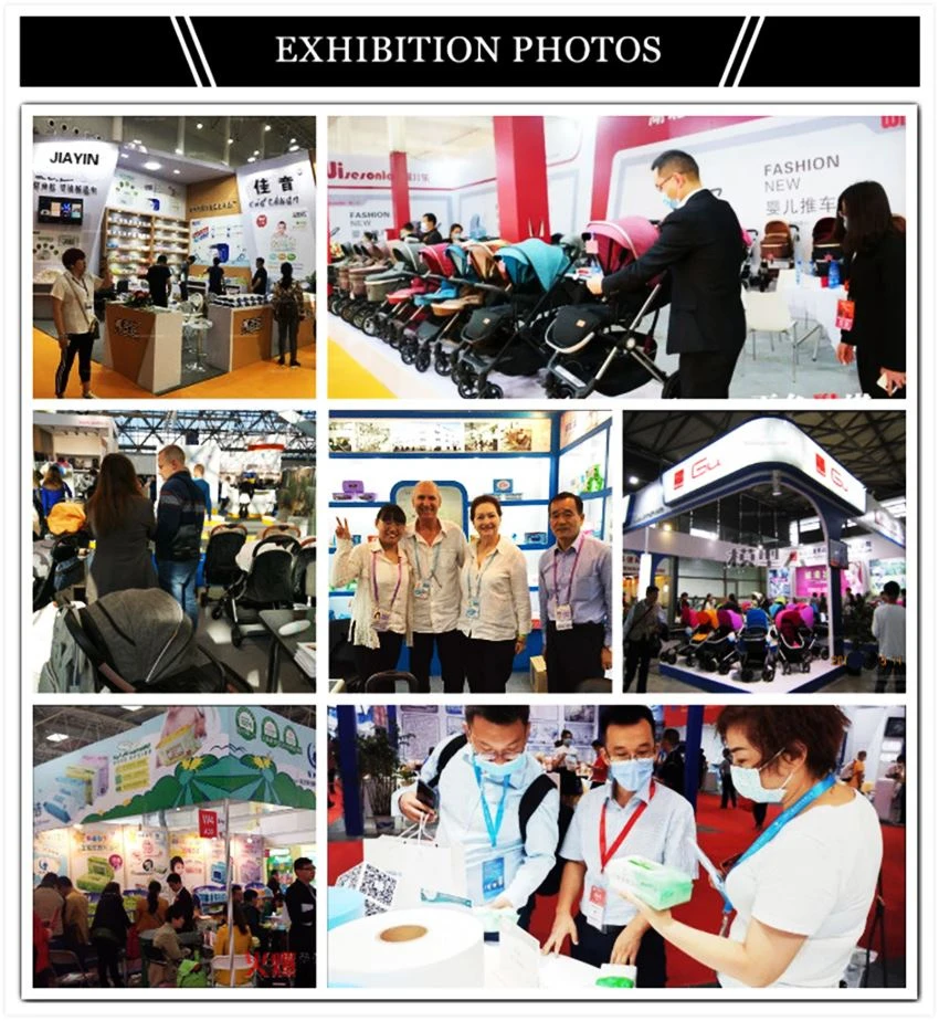Exhibition Photos
