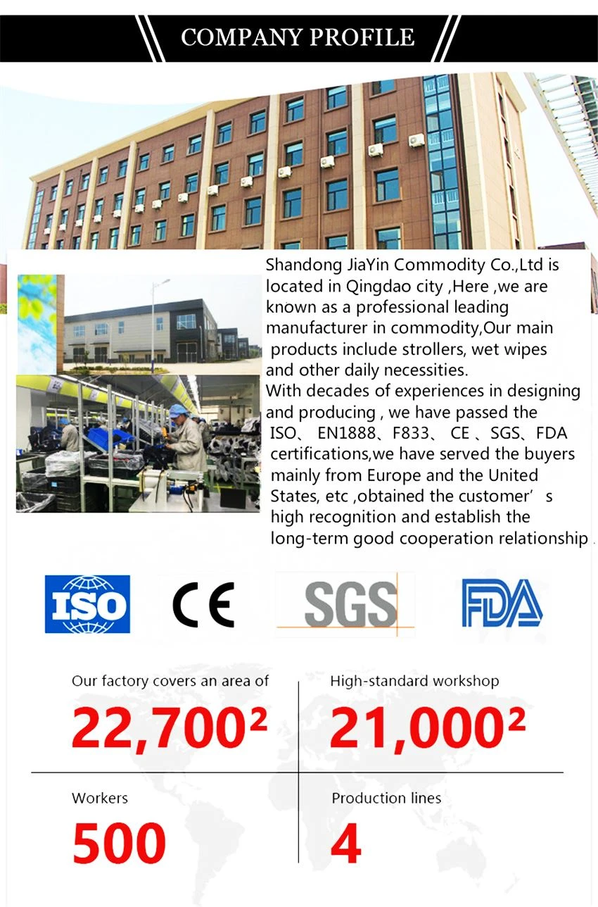 Our Company