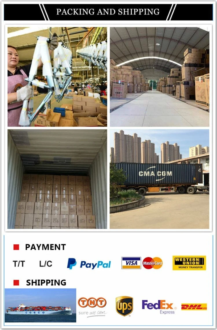 packing and shipment.jpg