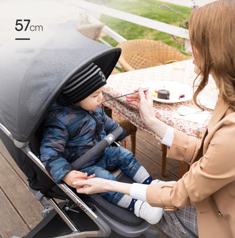 revolution flex 3.0 travel system