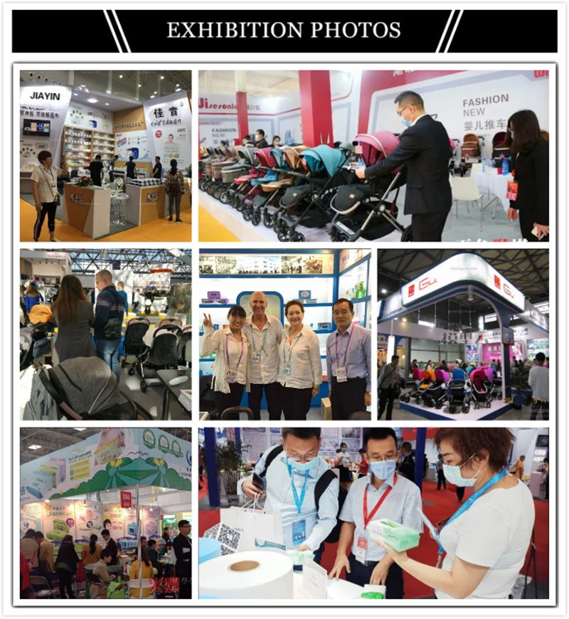 pet stroller manufacturer