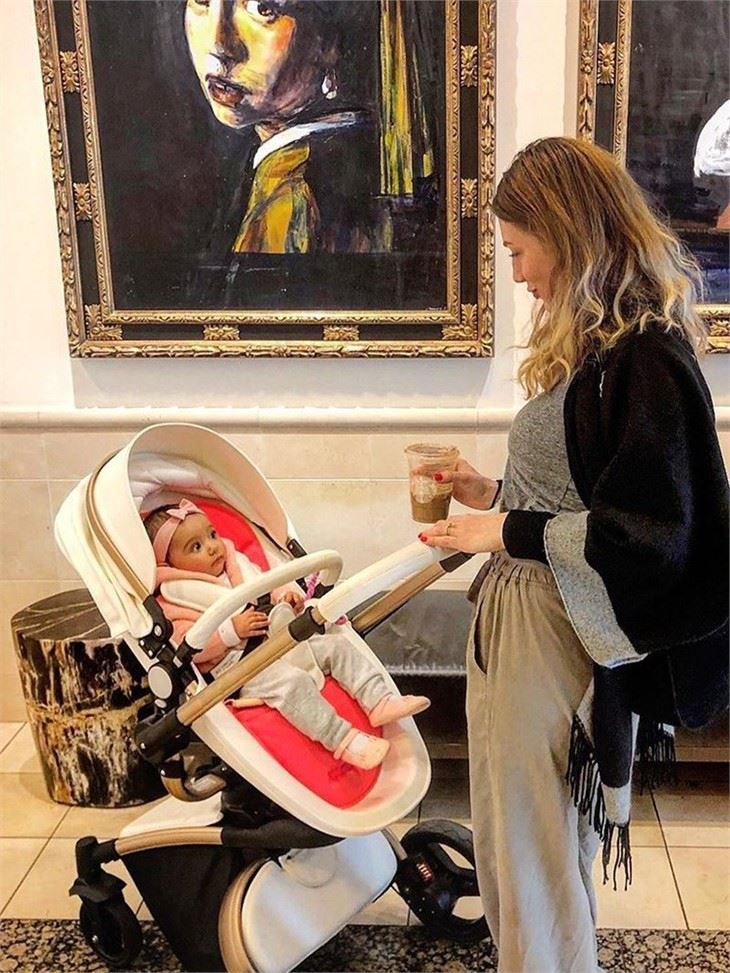Egg Stroller 3 in 1