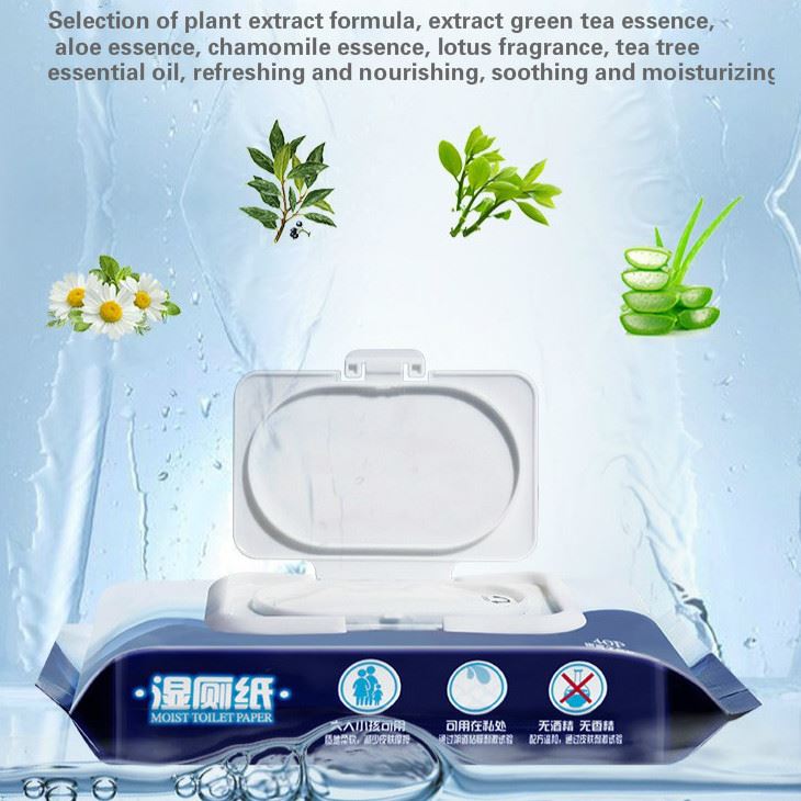 Flushable Toilet Wipes