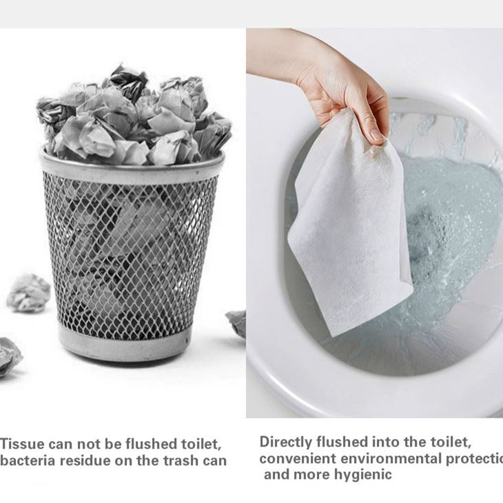 Flushable Toilet Wipes