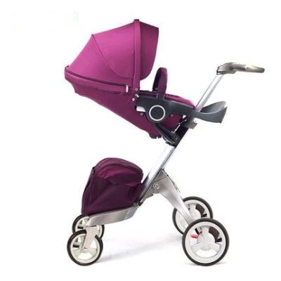 mountain buggy duo